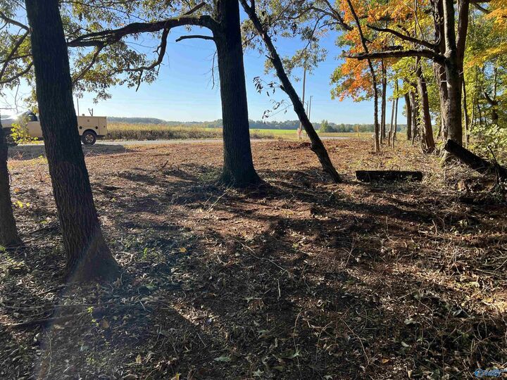 Property Photo:  12081 Pecan Grove Way  AL 35613