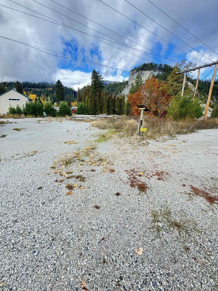 Property Photo:  213 Lehigh Ave  WA 99153