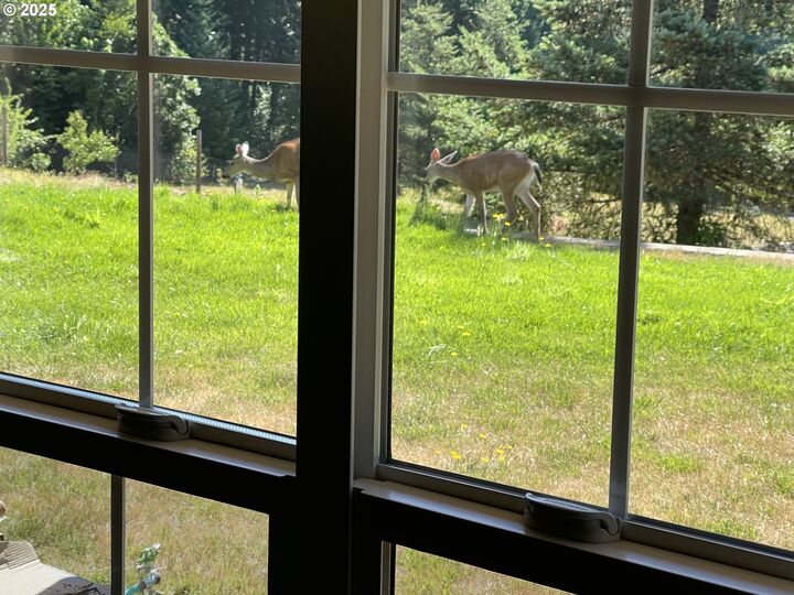 Property Photo:  7465 Kings Valley Hwy  OR 97361