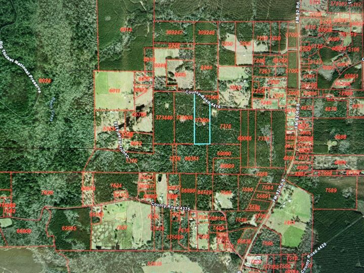 Property Photo: 795 County Road 4416 TX 75979