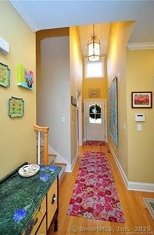 Property Photo:  33 Bradford Walk 33  CT 06032