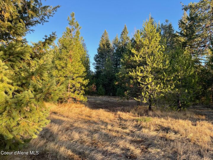 Nka Hope Valley Rd 5 Acres  Rathdrum ID 83858 photo
