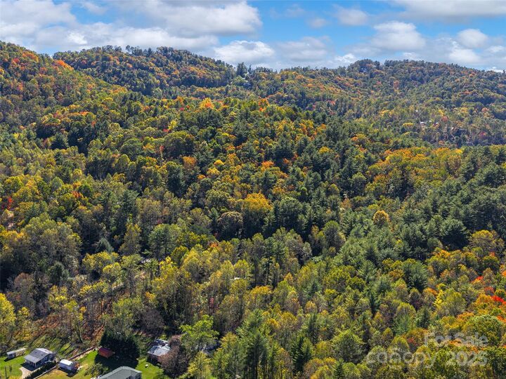 Property Photo:  51 Rice Branch Road  NC 28804