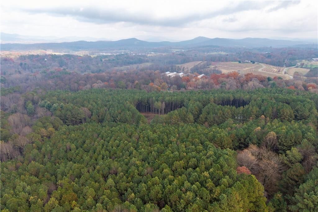 Property Photo: 0 Foxpaw Leaf Lane GA 30536