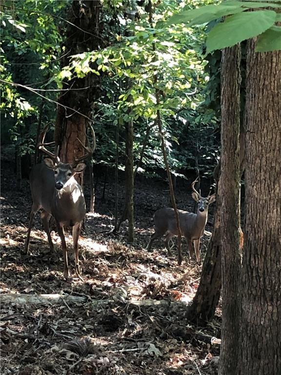 Property Photo: 8665 Steeplechase Drive GA 30076