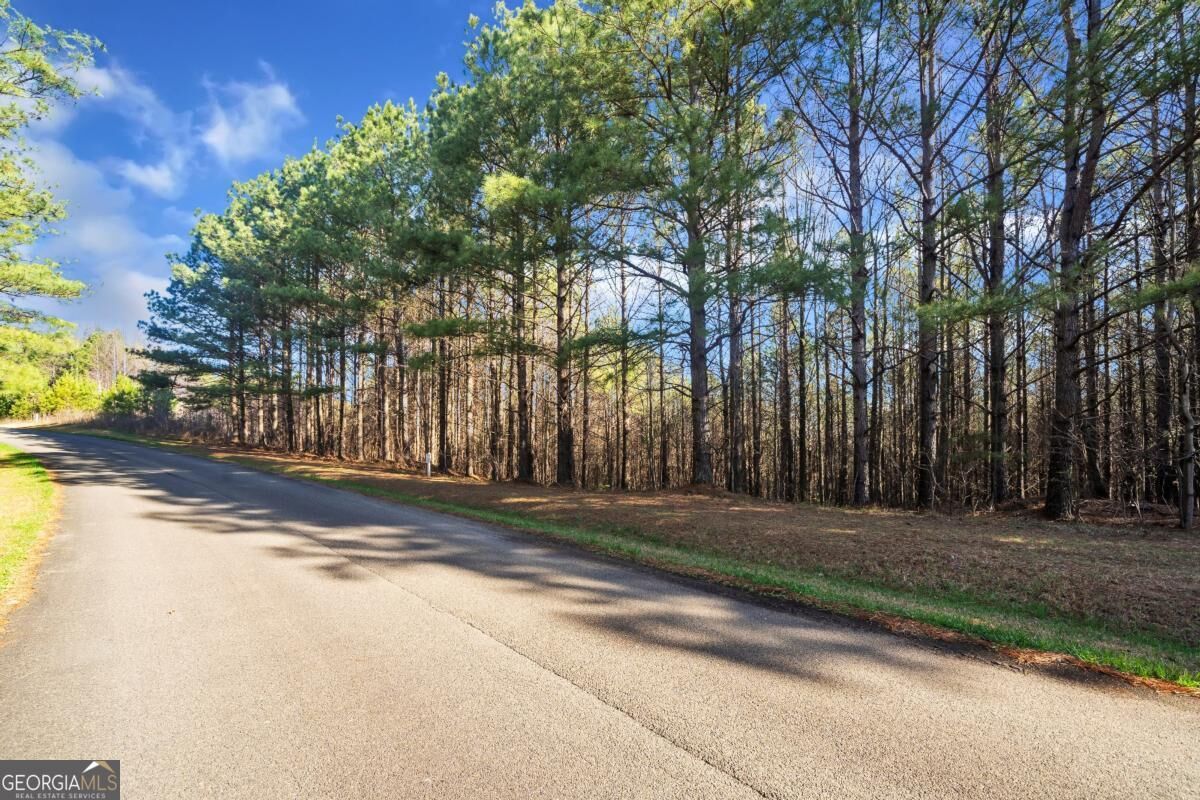 Property Photo:  0 Foxpaw Leaf Lane 38  GA 30536 
