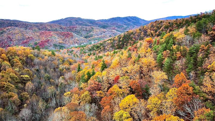 Blackberry Way Lot 19 Tract B  Caldwell WV 24925 photo