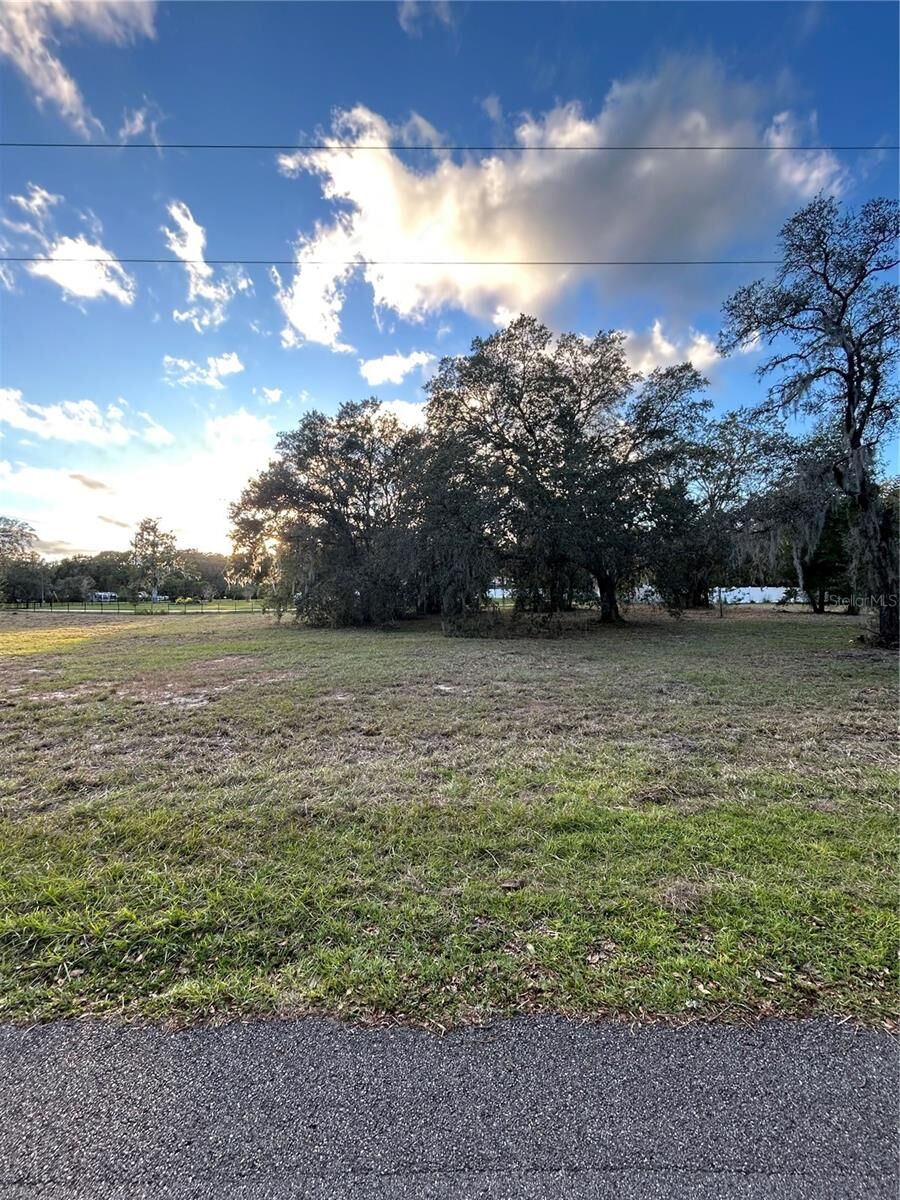 Property Photo:  000 Fifth Street  FL 32159 