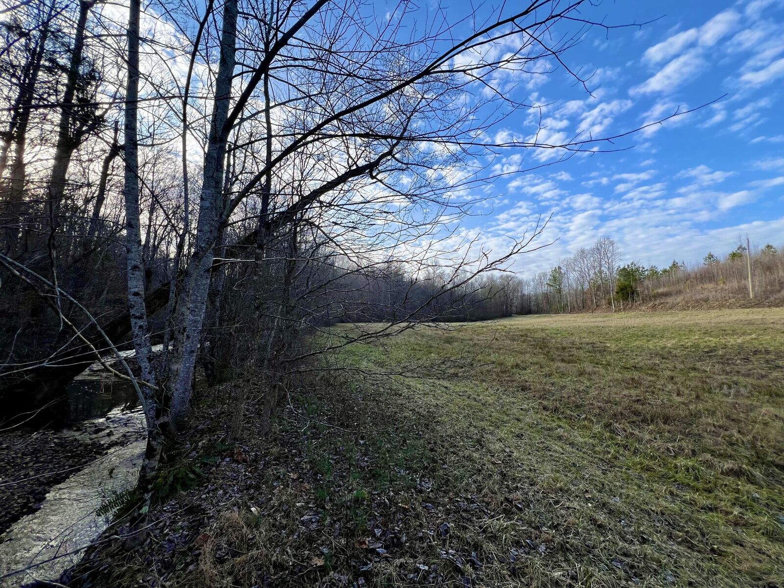 Property Photo: 0 Idaho Rd TN 38468