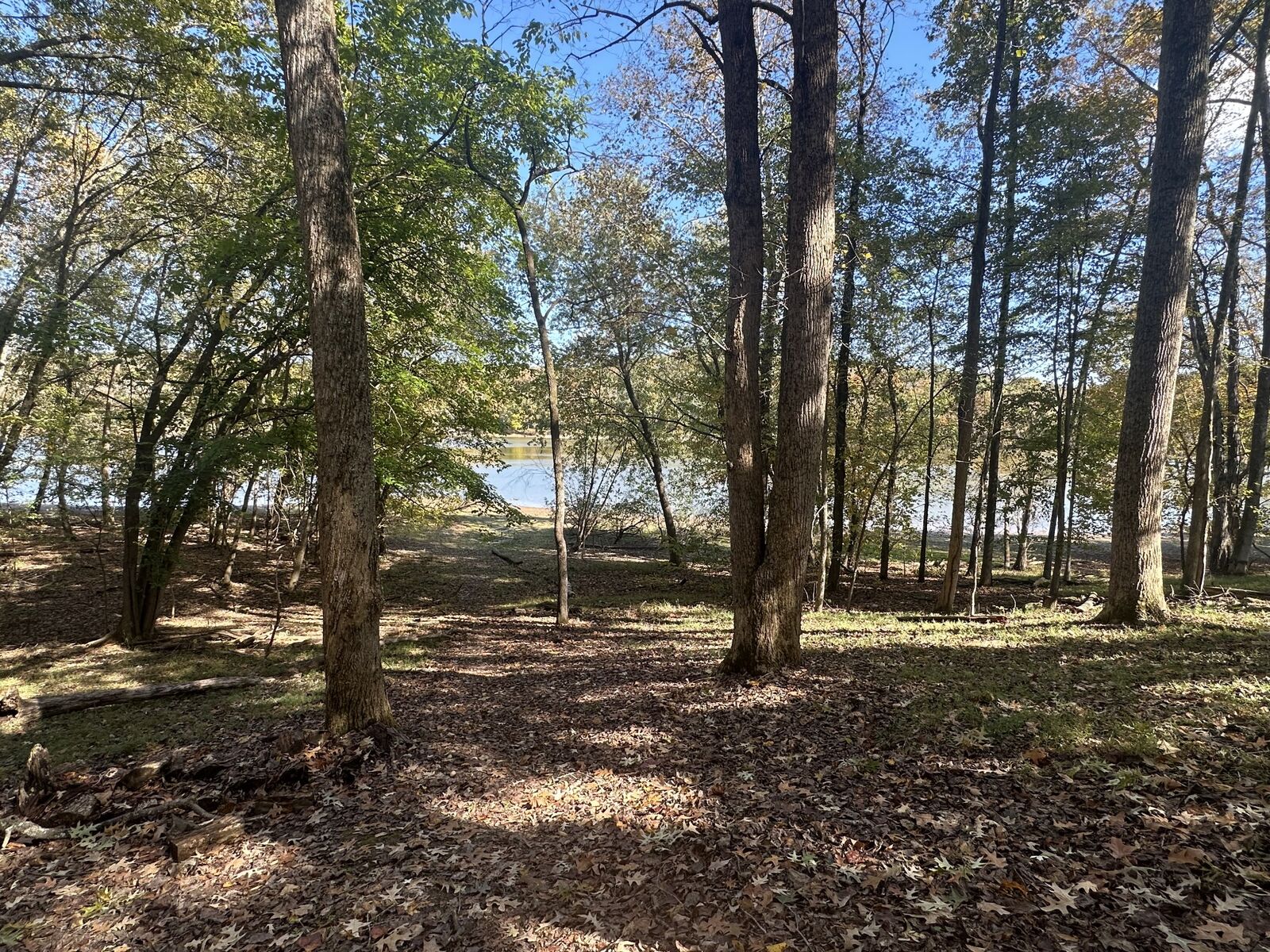 Property Photo:  441 Mallard Dr  TN 37058 