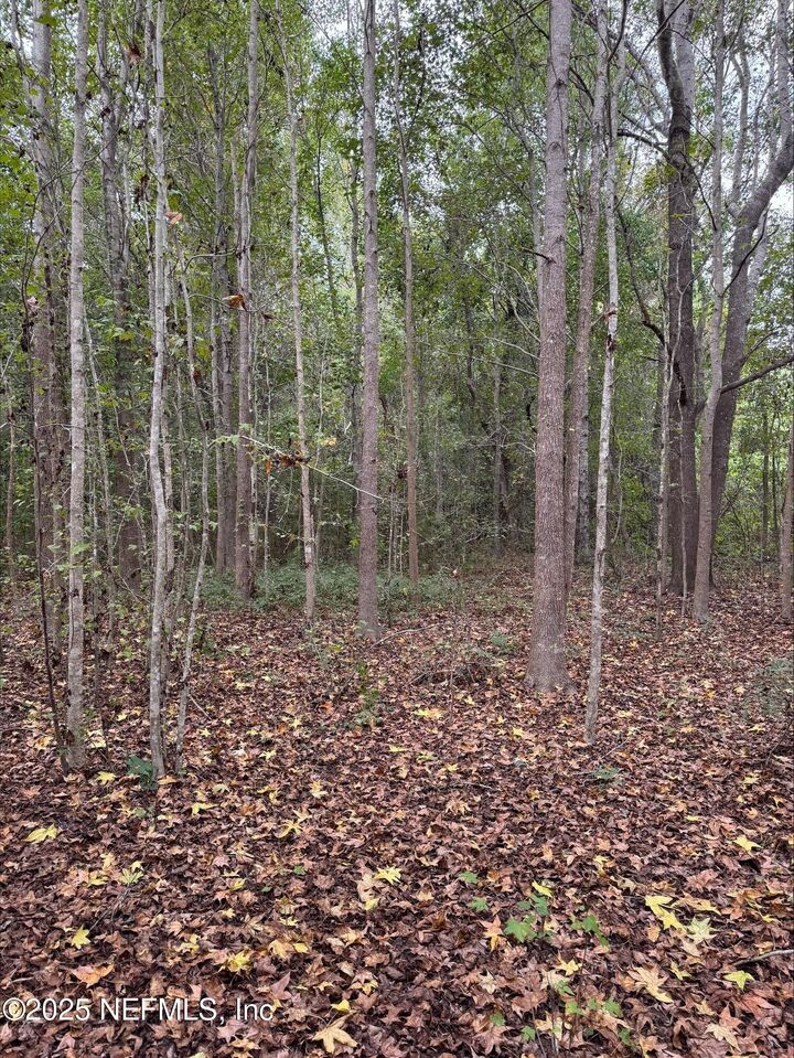 Property Photo:  00 Cr 229A  FL 32091