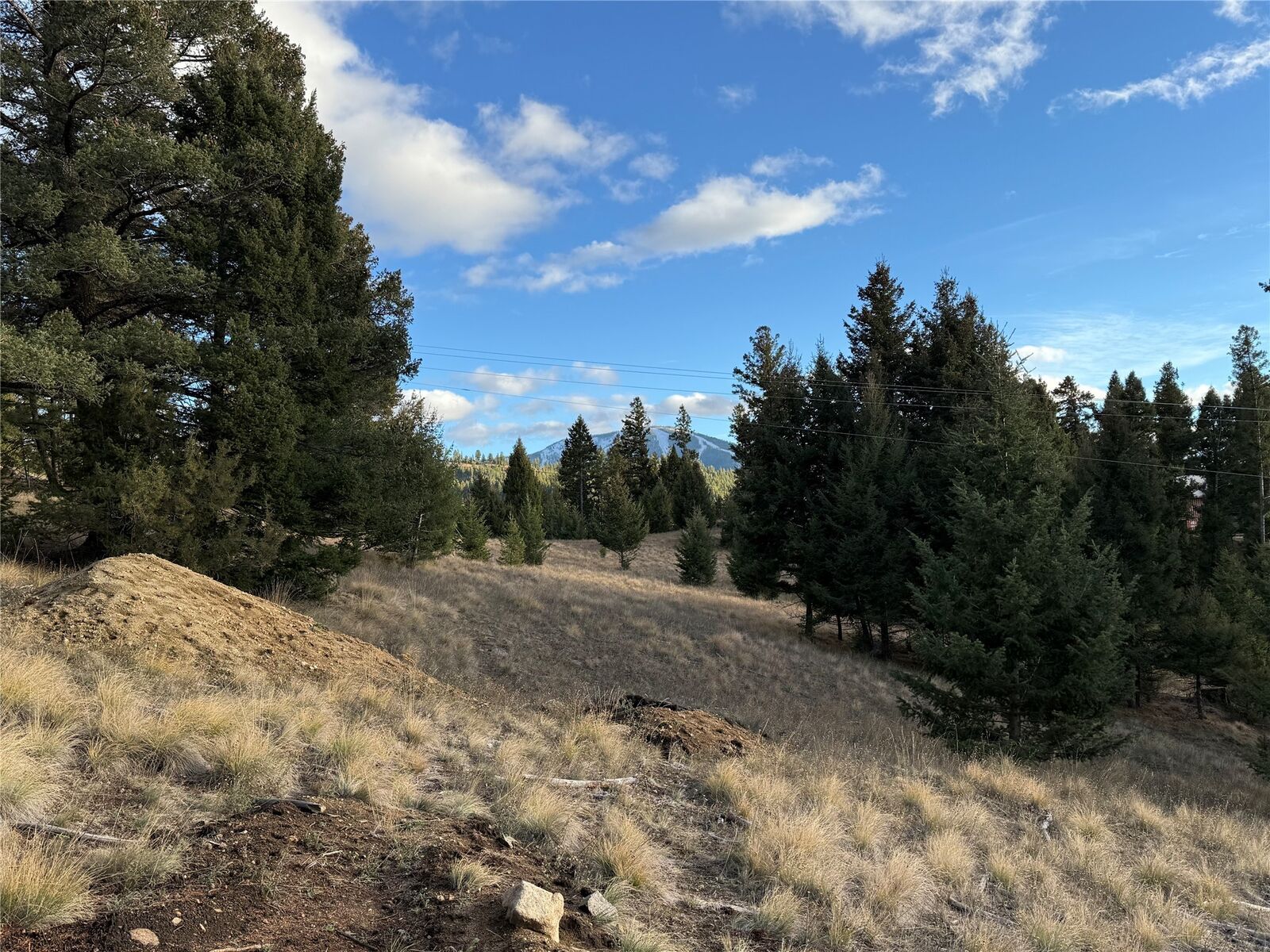 Property Photo:  Lot 3 Scranton Lode  MT 59858 