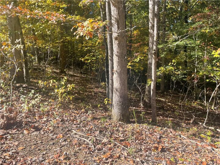 Property Photo:  Lot 8 Oxenholme Lane  AR 72714 