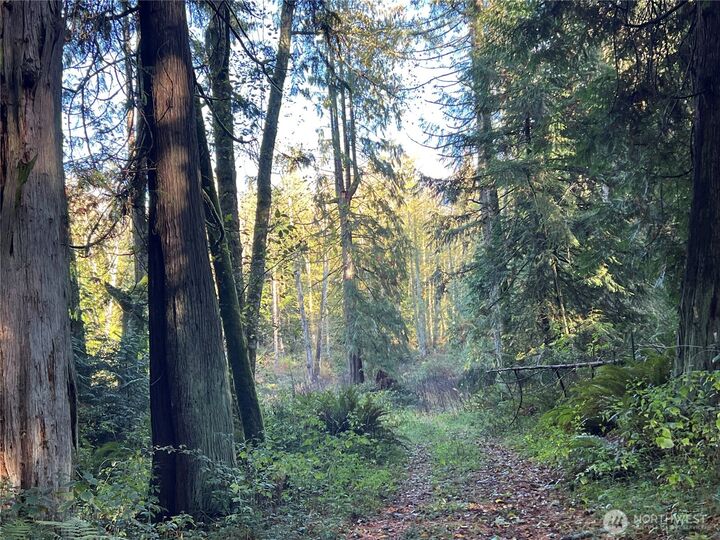 Property Photo: 5249 Fallen Leaf Ln WA 98260