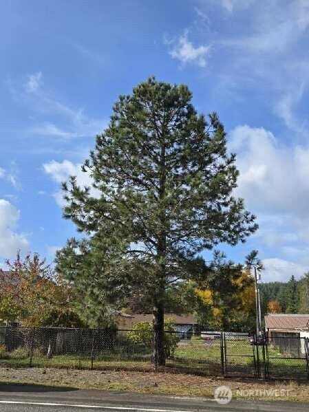 Property Photo:  505  Morse Street  WA 98581