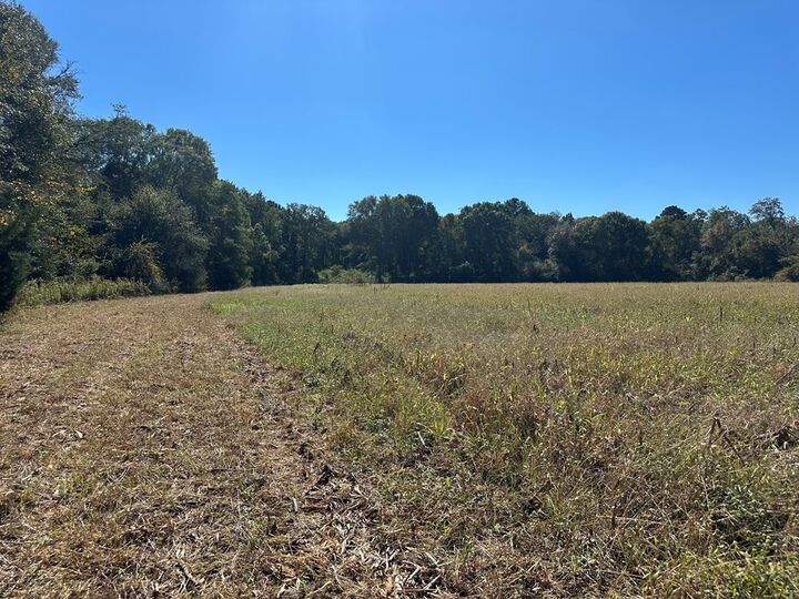 Property Photo: 0 Pt Salter Road GA 31781