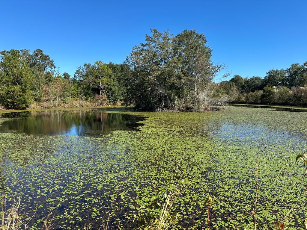 Property Photo:  0 Hwy 82  GA 31789 