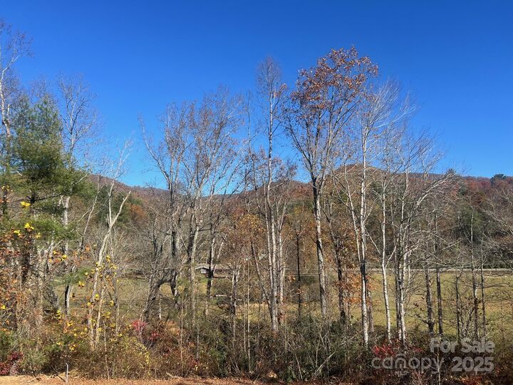 Property Photo:  73 The Old Run None  NC 28730 