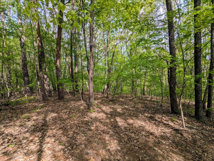 Property Photo: 5694 Ladd Springs Road TN 37362