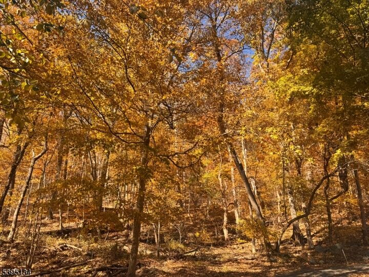 Property Photo:  3 Rock N Wood  NJ 07823