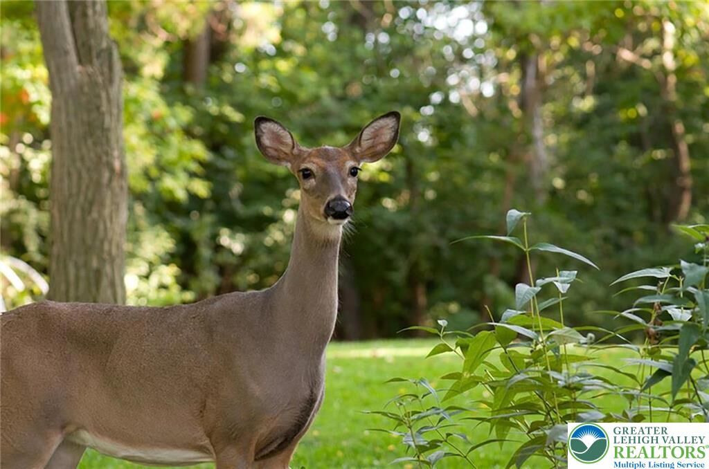 Property Photo:  169 Yellow Run Road  PA 18229 