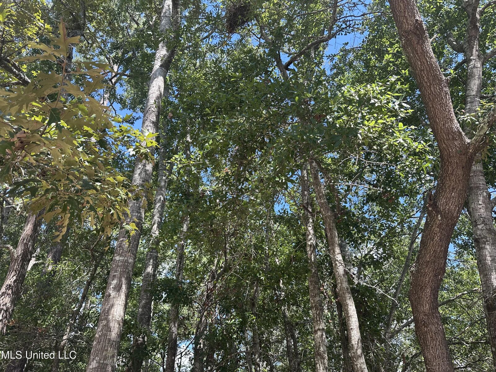 Property Photo:  00 Indiantown Road  MS 39552 