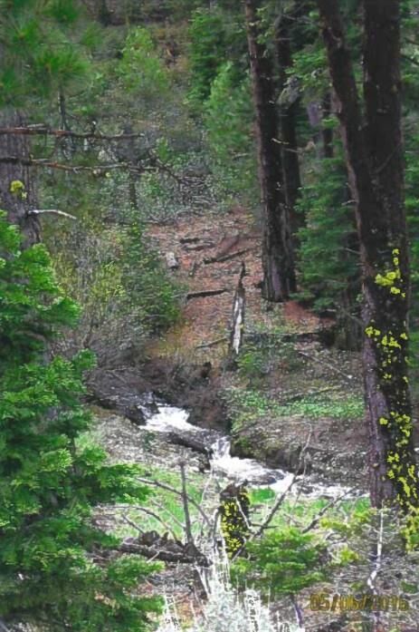 Property Photo: 2161 McKenney Drive CA 96101