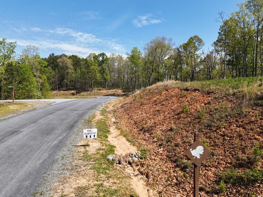 Property Photo:  Lot 20 Blalock Mountain Road  GA 30540 