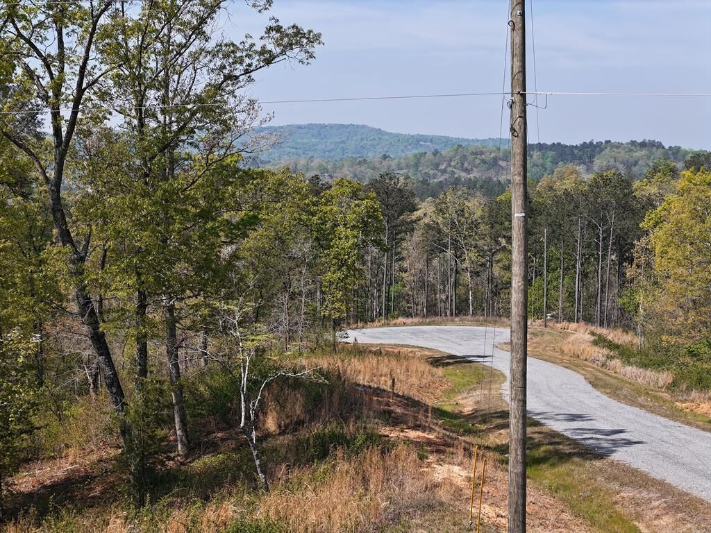 Property Photo: Lot 20 Blalock Mountain Road GA 30540