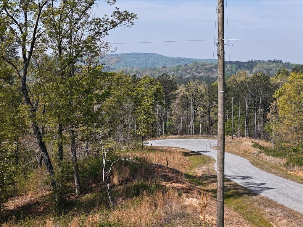 Property Photo:  Lot 20 Blalock Mountain Road  GA 30540 