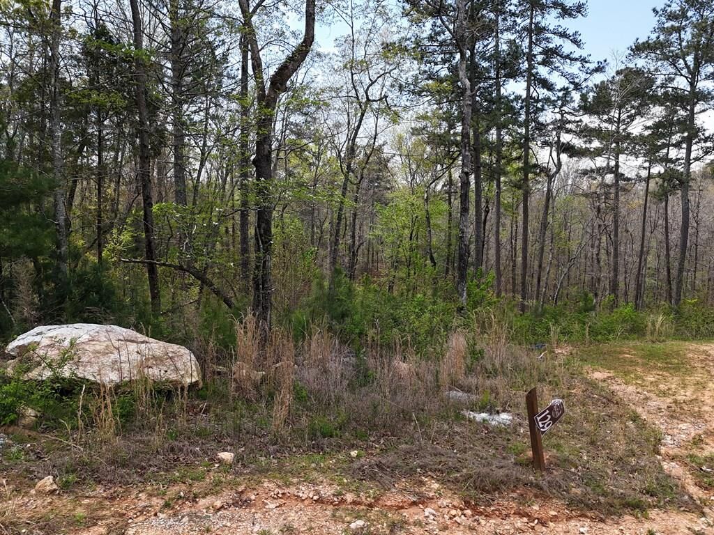 Property Photo: 129 Red Hawk Lane GA 30540