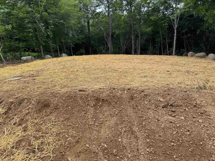 Property Photo:  Lot 6 Highway 7  NS B2Z 1A9