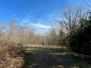 Property Photo:  Cr 909  AR 72638 