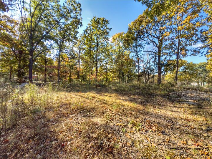 Lot 10 Dogwood Court  Harrison AR 72601 photo