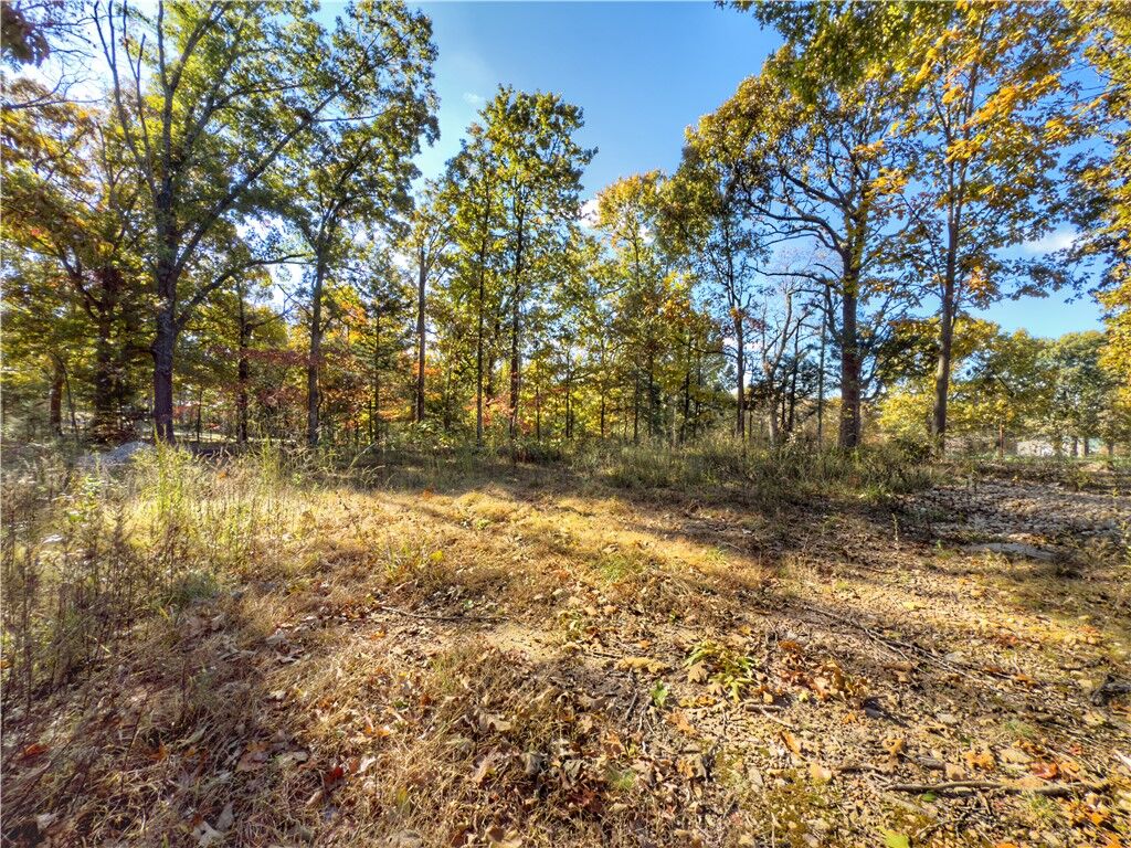 Property Photo:  Lot 10 Dogwood Court  AR 72601 