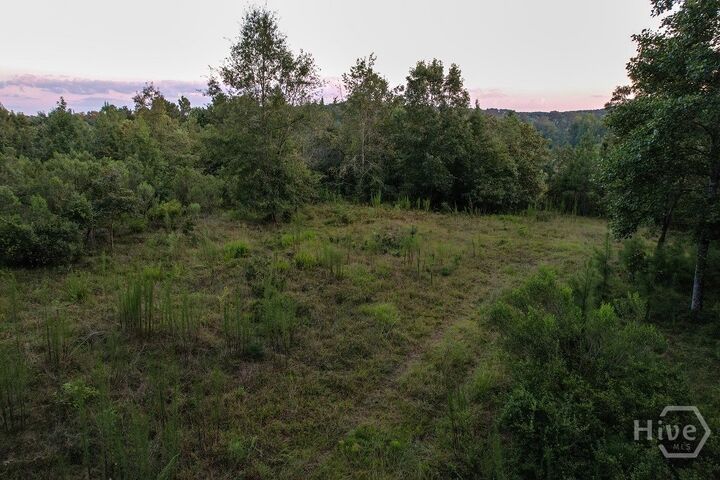 Property Photo:  2660 Parham Town Road  GA 30624 