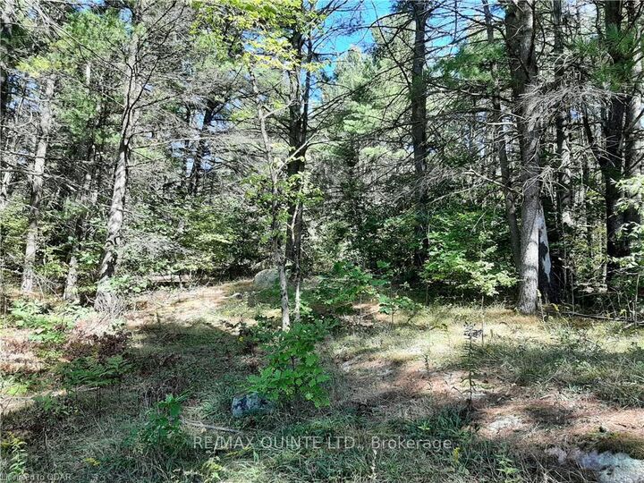 0 Pt Lt12 Con14 Hwy 37 Road  Tweed ON K0K 3J0 photo