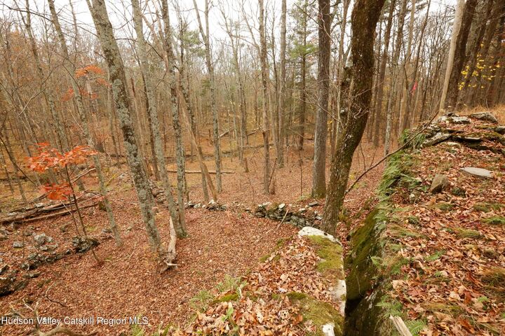 Property Photo:  424 High Falls  NY 12477 