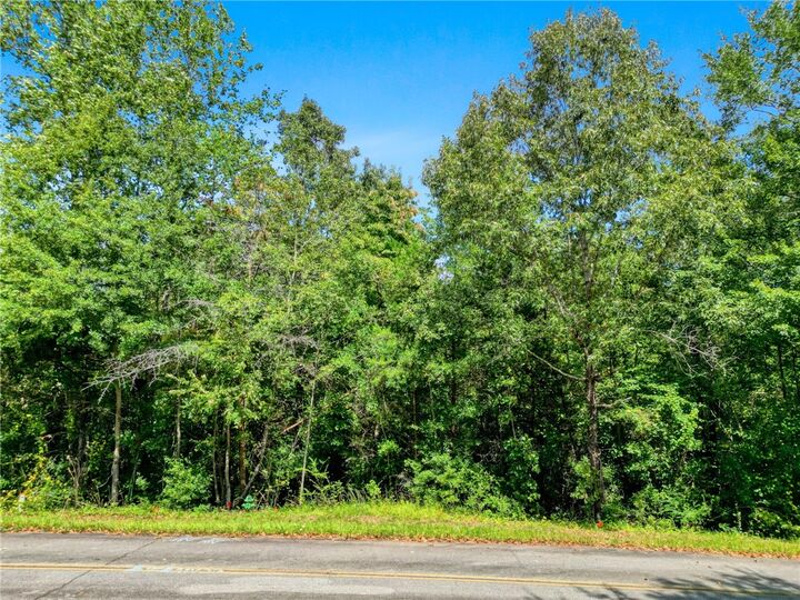 Property Photo:  213 Castlebrook Drive  SC 29691 