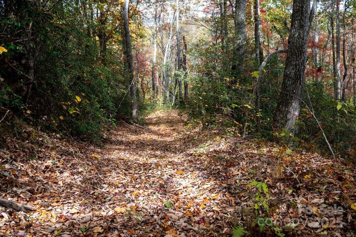 Property Photo: 4B Lower Flat Creek Road NC 28711