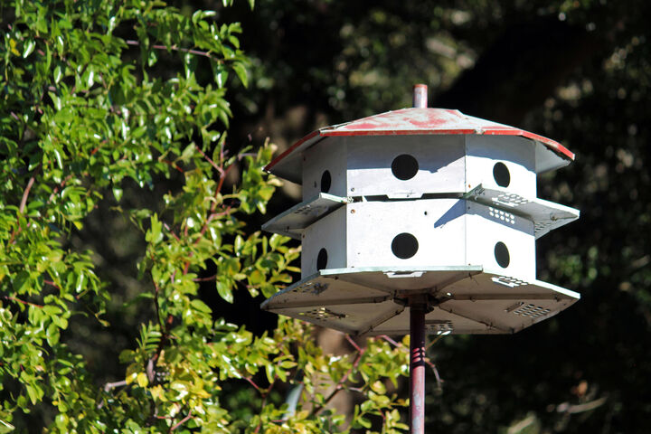 Property Photo: 311 McEwen Drive FL 32578