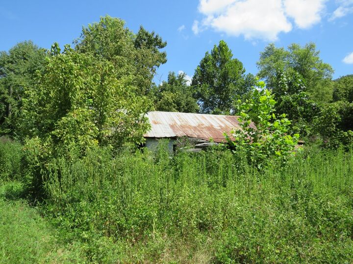 Property Photo:  00 Chestnut Road- Whitehouse  KY 41240 