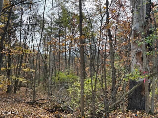 Property Photo:  954A Route 9N  NY 12912 