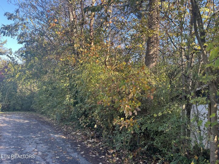 Property Photo: 2917 Brooks Ave TN 37914