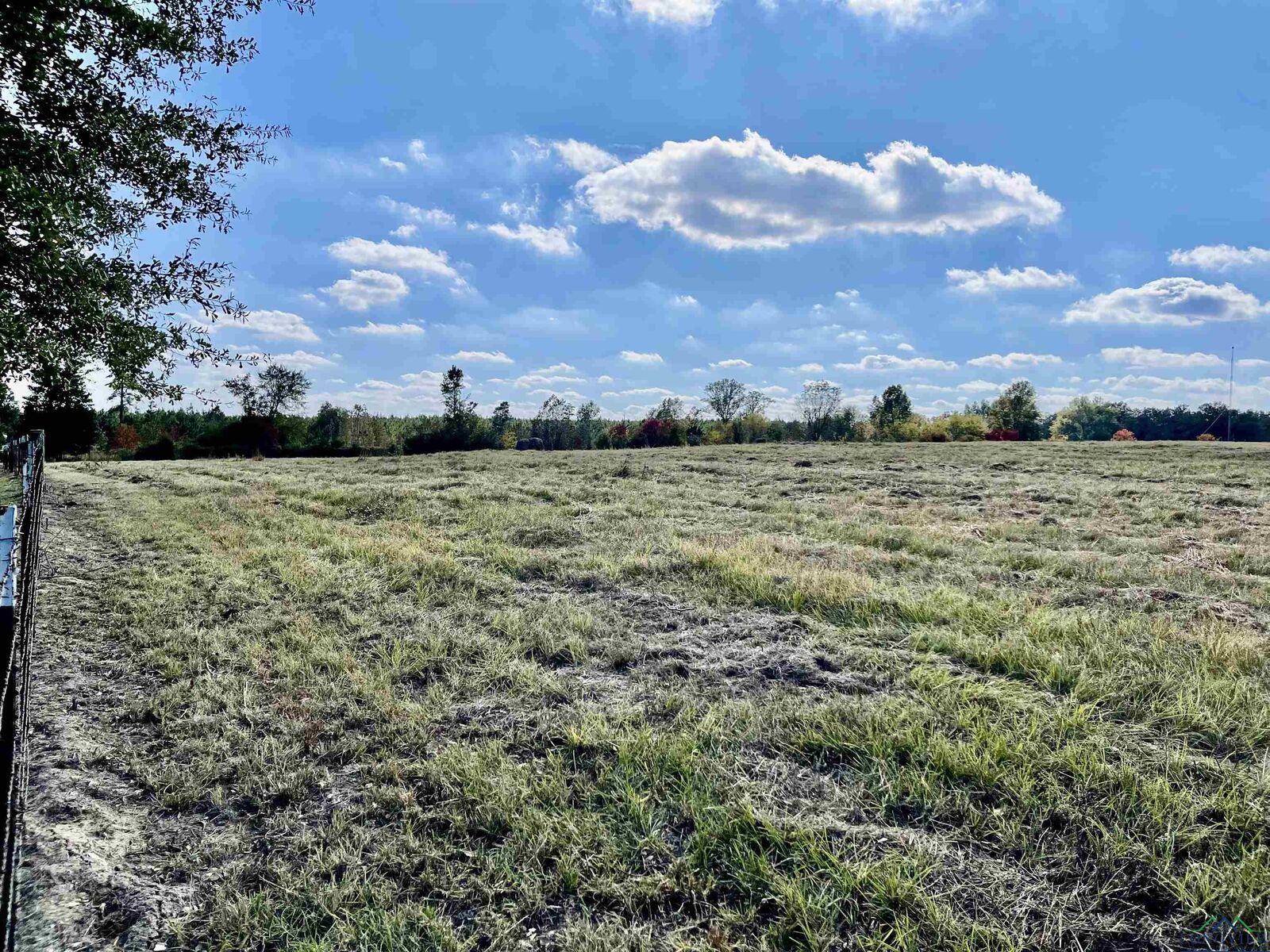 Property Photo:  Tbd Cr 121  TX 75643 