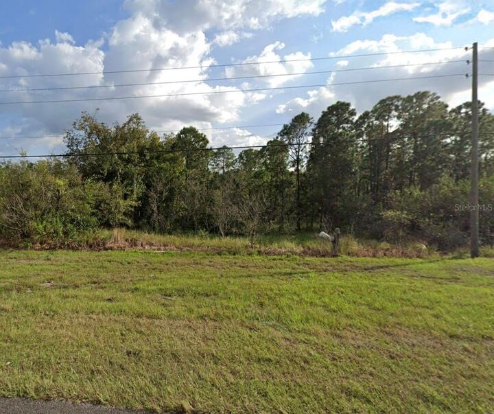 Property Photo:  US Highway 17  FL 33844 