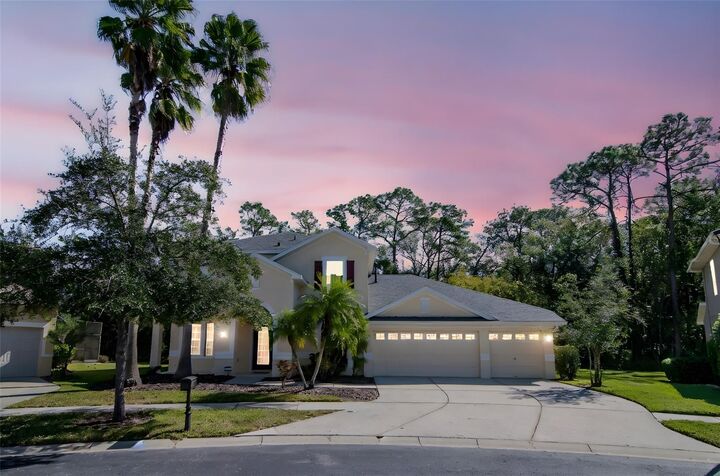 Property Photo:  16102 Colchester Palms Drive  FL 33647 