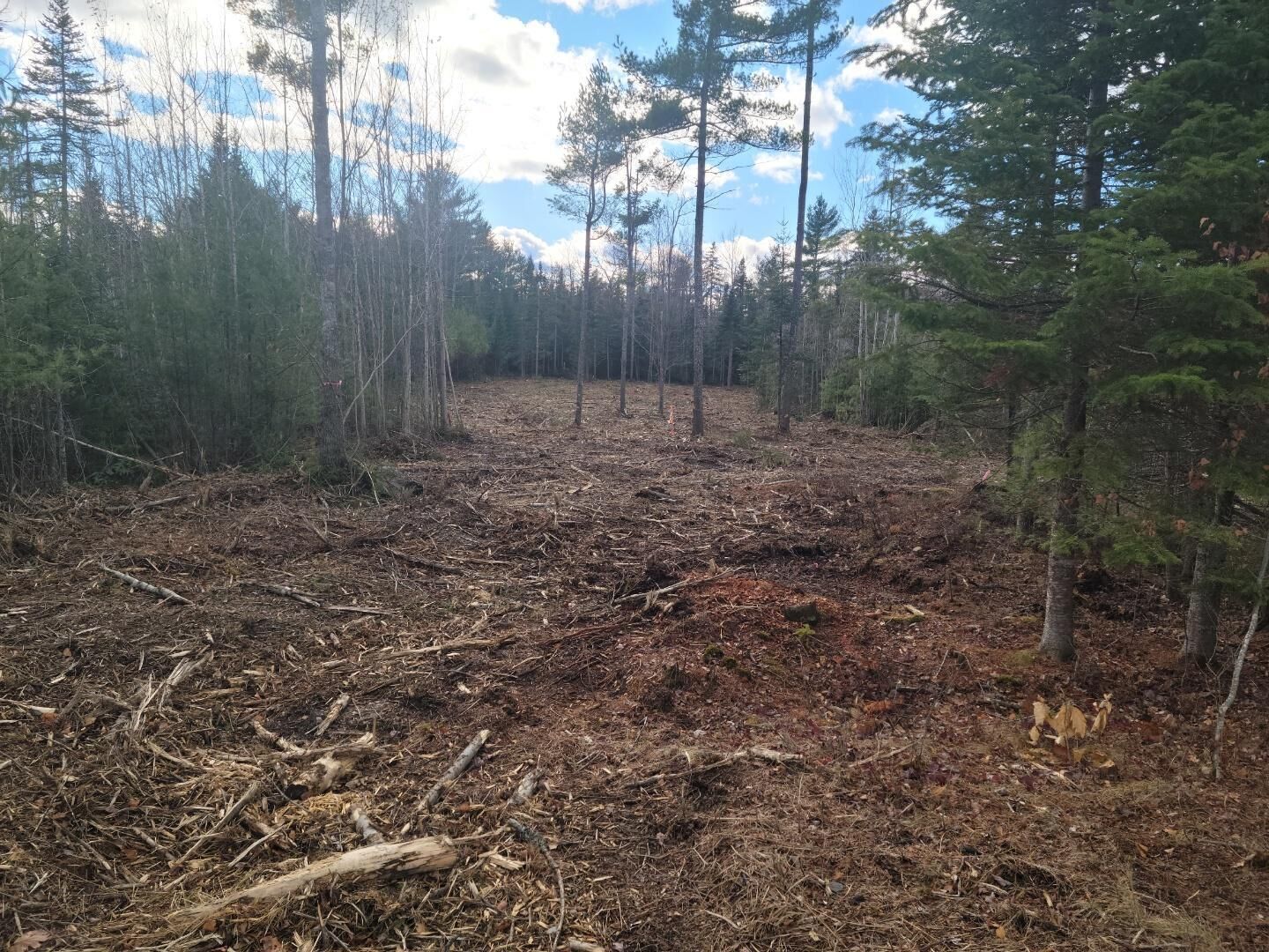 Property Photo: Lot 4 00 Stonewall Drive ME 04474
