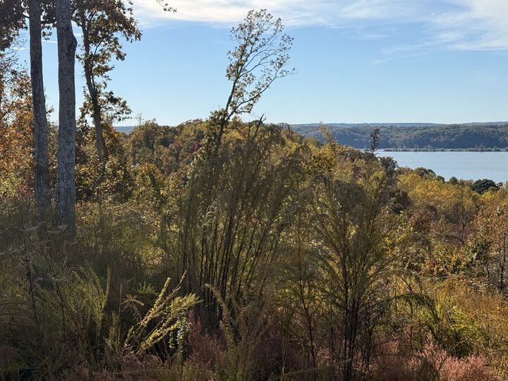 Property Photo: 54 Ridge Top Road TN 37175