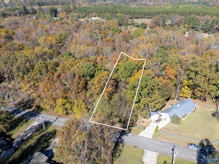 357 Buffalo Creek Drive  Toney AL 35773 photo